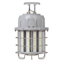 Phoenix Indoor LED Fixtures